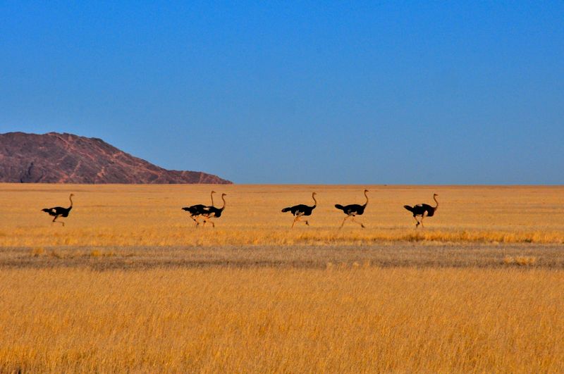 Namibia